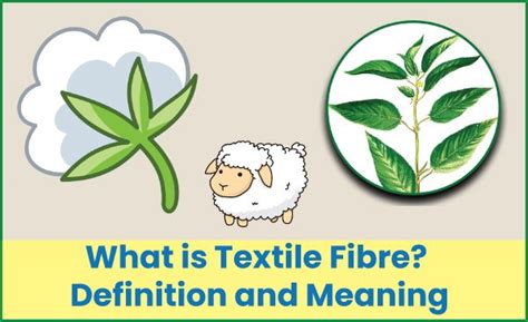 fiber thread meaning|FIBRE definition and meaning .